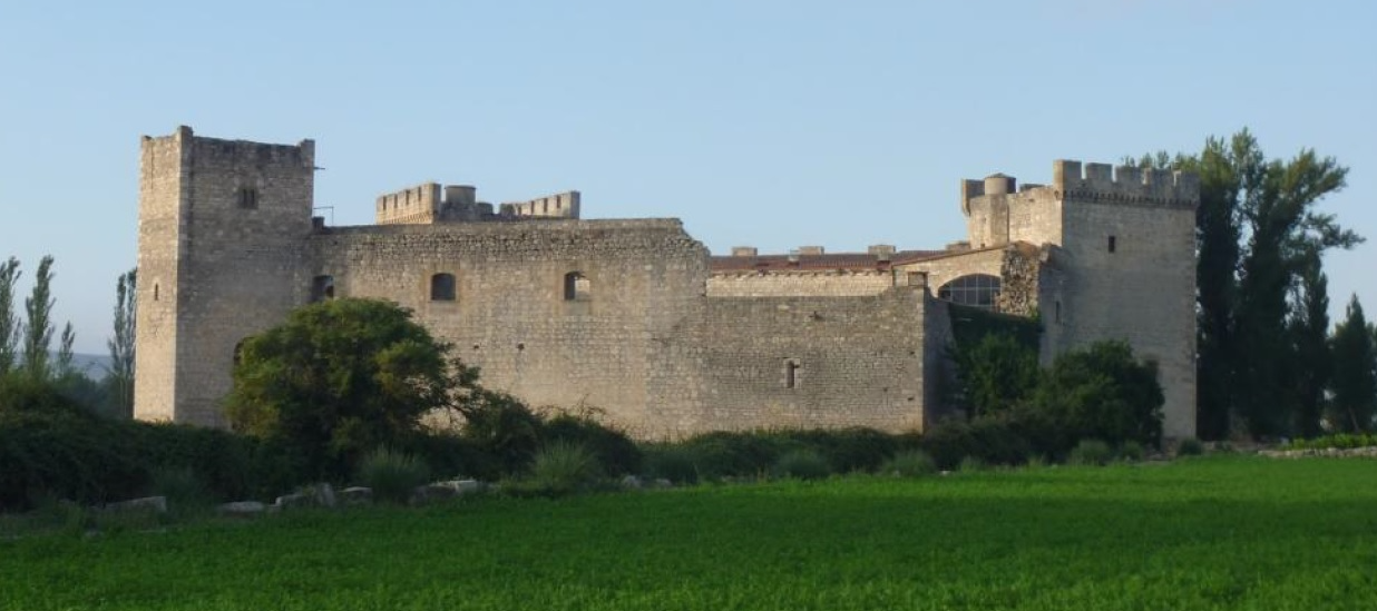 Exclusivo castillo de estilo palaciego en Sotopalacios [Burgos]